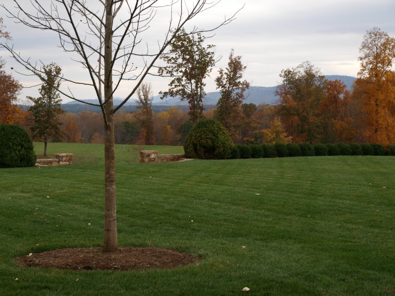 Sorry, we're not going to show you pictures of the house - it's something you have experience in person.